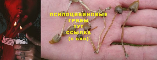 PSILOCYBIN Аркадак