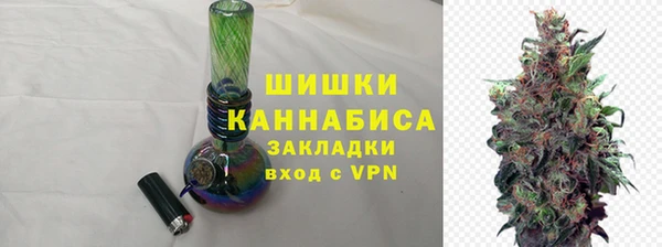 PSILOCYBIN Аркадак