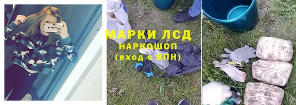 PSILOCYBIN Аркадак